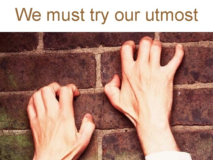 We must try our utmost 