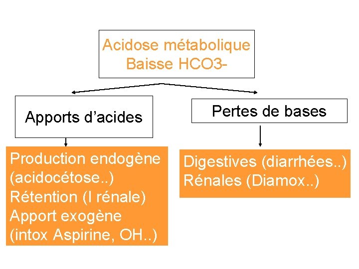 Acidose métabolique Baisse HCO 3 Apports d’acides Pertes de bases Production endogène (acidocétose. .