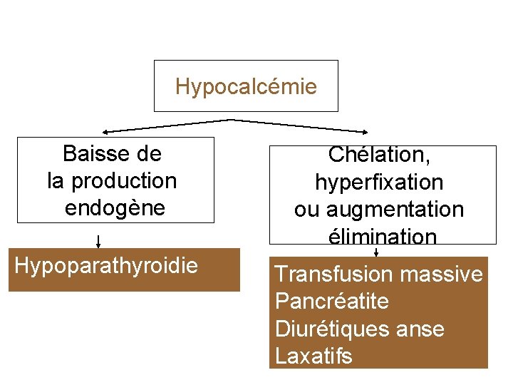 Hypocalcémie Baisse de la production endogène Chélation, hyperfixation ou augmentation élimination Hypoparathyroidie Transfusion massive