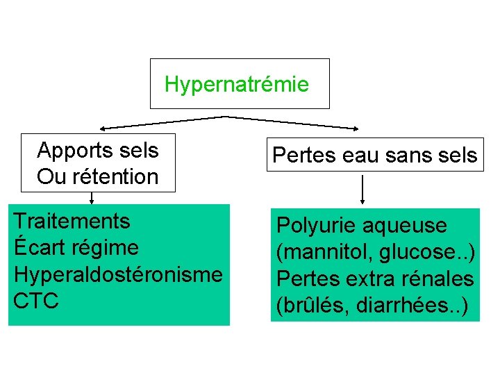 Hypernatrémie Apports sels Ou rétention Traitements Écart régime Hyperaldostéronisme CTC Pertes eau sans sels