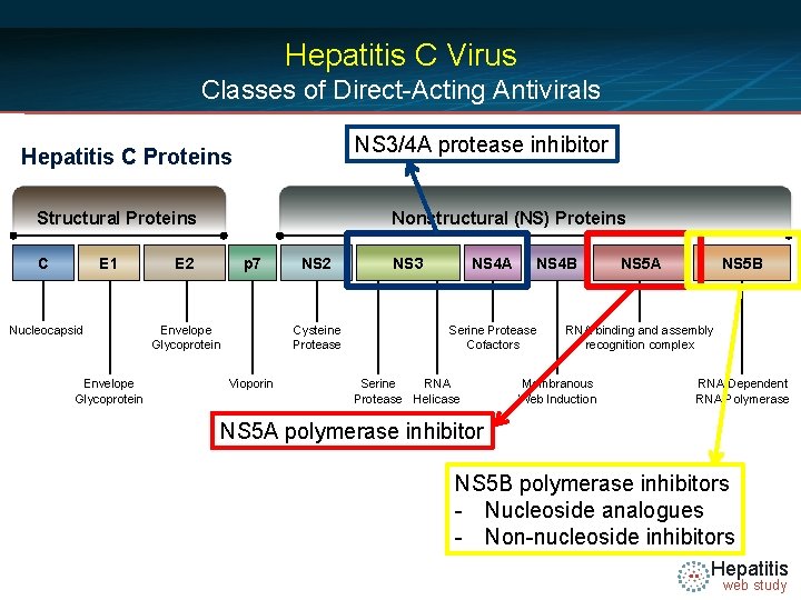 Hepatitis C Virus Classes of Direct-Acting Antivirals NS 3/4 A protease inhibitor Hepatitis C