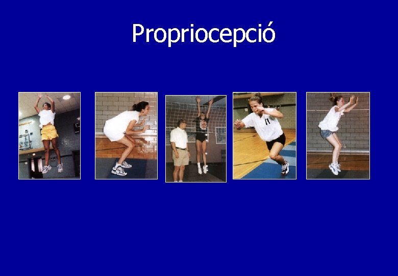 Propriocepció Hewett et al. : 1996 