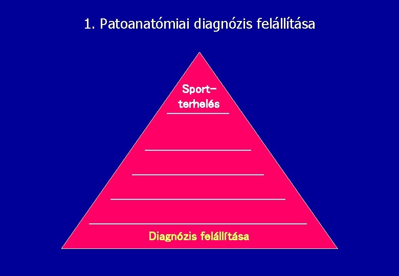 1. Patoanatómiai diagnózis felállítása Sportterhelés Terhelés kontroll Fitness növelése Gyógyulás támogatása Terápia Diagnózis felállítása