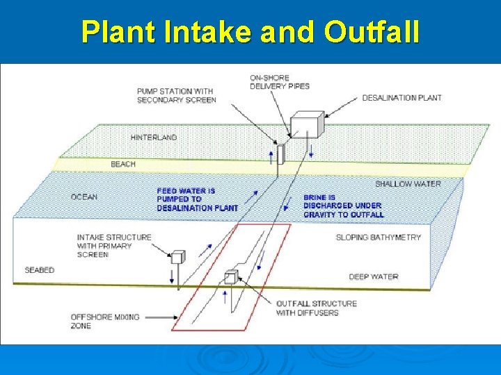 Plant Intake and Outfall 