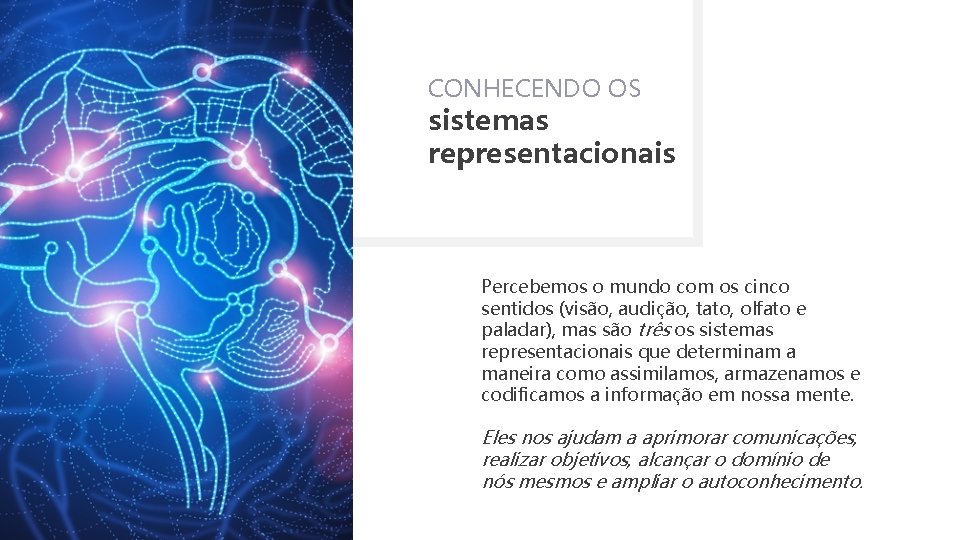 CONHECENDO OS sistemas representacionais Percebemos o mundo com os cinco sentidos (visão, audição, tato,