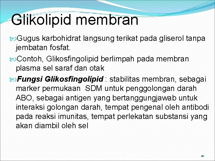 Glikolipid membran Gugus karbohidrat langsung terikat pada gliserol tanpa jembatan fosfat. Contoh, Glikosfingolipid berlimpah