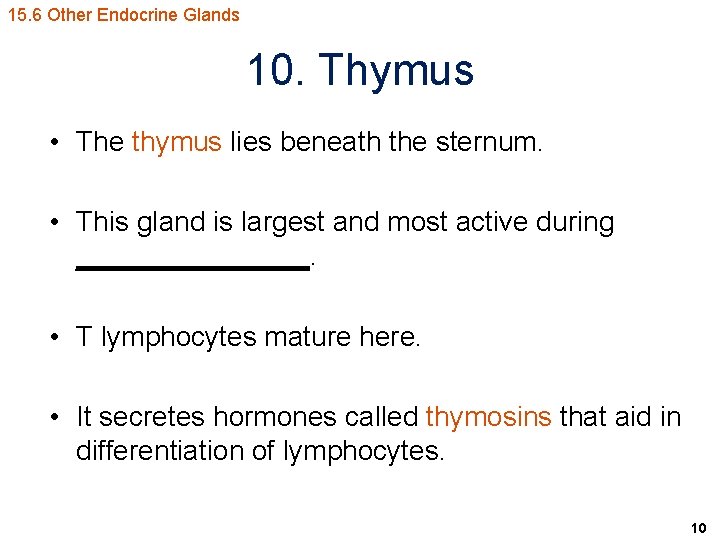 15. 6 Other Endocrine Glands 10. Thymus • The thymus lies beneath the sternum.