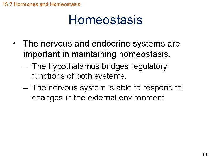 15. 7 Hormones and Homeostasis • The nervous and endocrine systems are important in