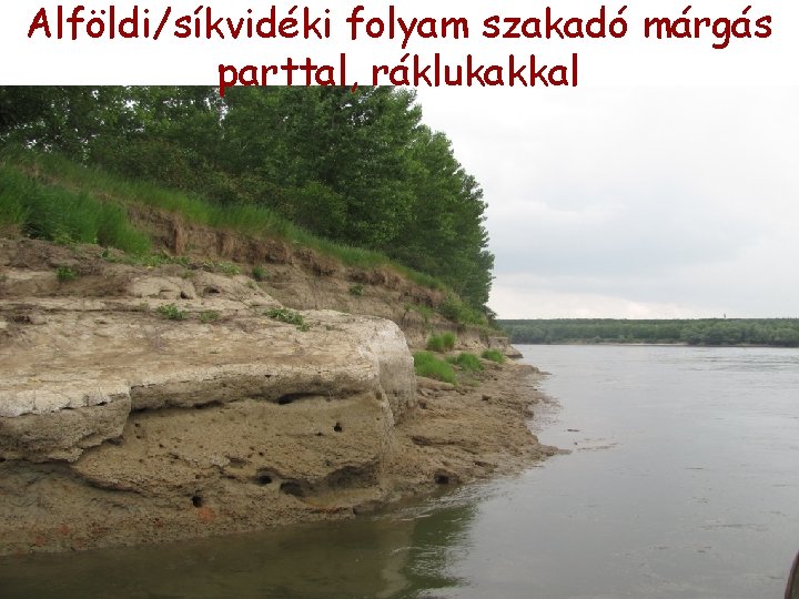 Alföldi/síkvidéki folyam szakadó márgás parttal, ráklukakkal Alföldi/síkvidéki folyam szakadó márgás parttal, ráklukakkal