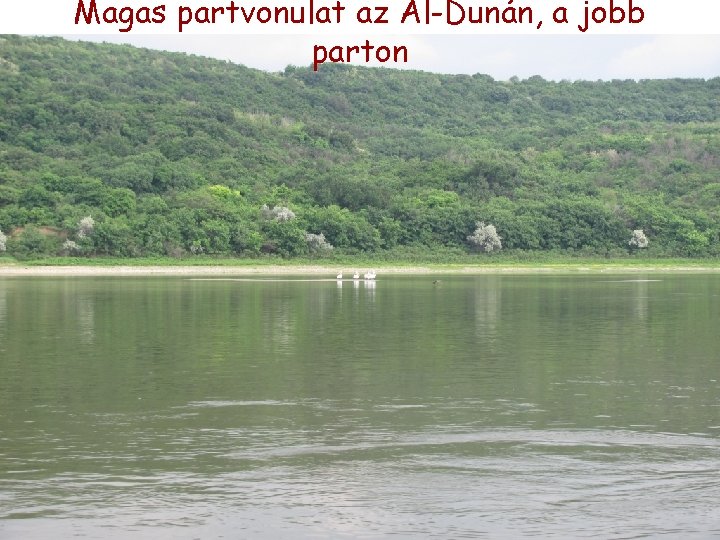 Magas partvonulat az Al-Dunán, a jobb parton Magas partvonulat az Al-Dunán, a jobb parton