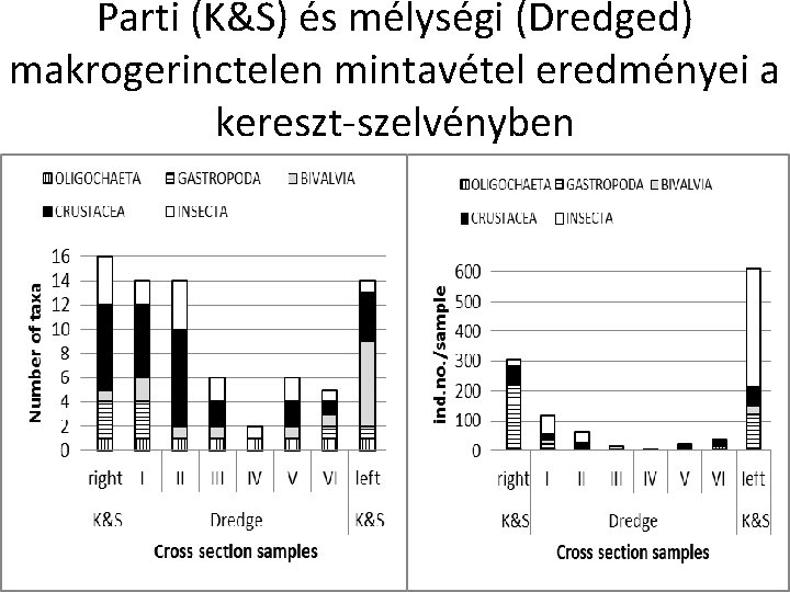Parti (K&S) és mélységi (Dredged) makrogerinctelen mintavétel eredményei a kereszt-szelvényben Parti (K&S) és mélységi (Dredged) makrogerinctelen mintavétel eredményei a kereszt-szelvényben
