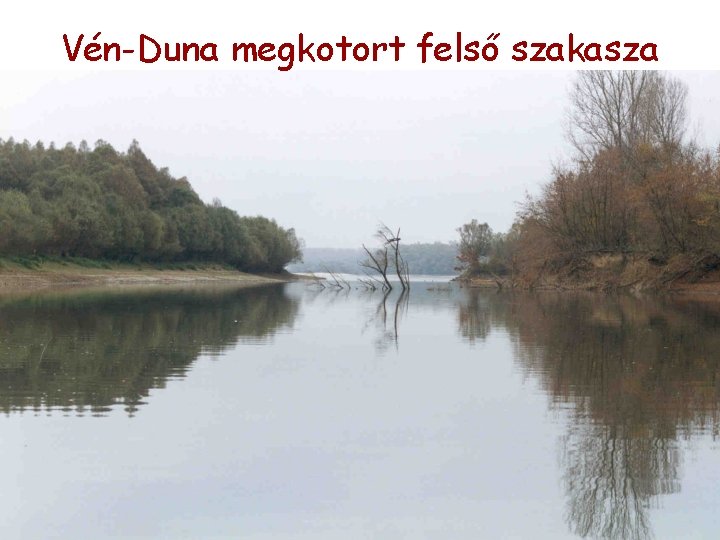 Vén-Duna megkotort felső szakasza Vén-Duna megkotort felső szakasza