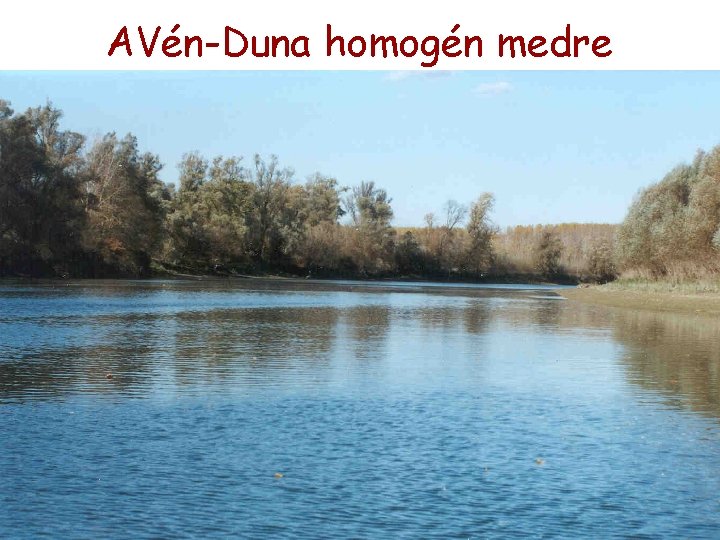 AVén-Duna homogén medre AVén-Duna homogén medre