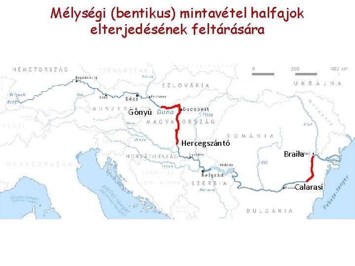 Mélységi (bentikus) mintavétel halfajok elterjedésének feltárására Gönyü Hercegszántó Braila Calarasi Mélységi (bentikus) mintavétel halfajok elterjedésének feltárására Gönyü Hercegszántó Braila Calarasi
