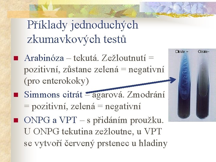 Příklady jednoduchých zkumavkových testů n n n Arabinóza – tekutá. Zežloutnutí = pozitivní, zůstane