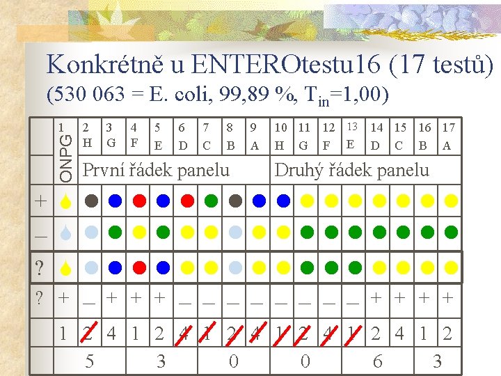 Konkrétně u ENTEROtestu 16 (17 testů) (530 063 = E. coli, 99, 89 %,