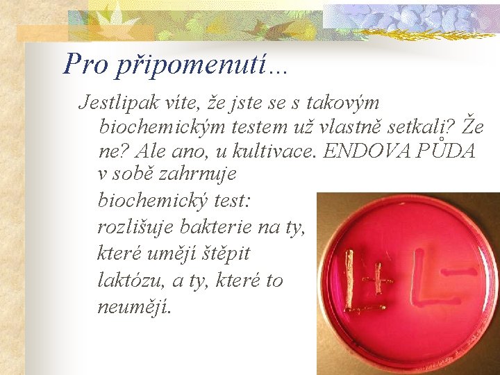 Pro připomenutí… Jestlipak víte, že jste se s takovým biochemickým testem už vlastně setkali?