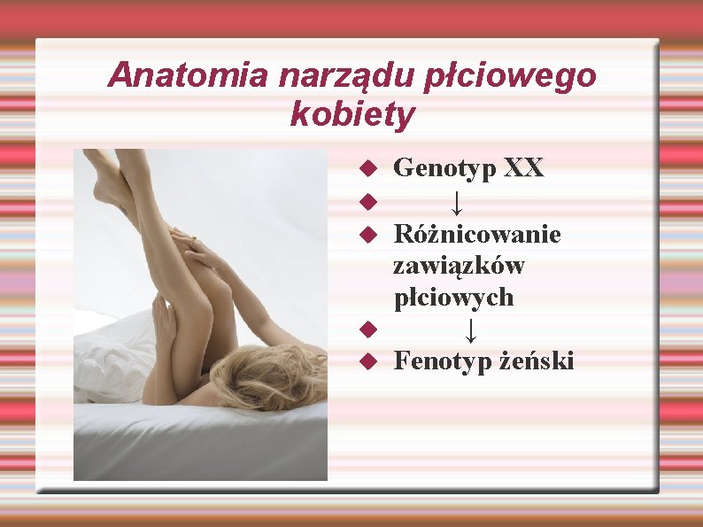 Anatomia narządu płciowego kobiety Genotyp XX ↓ Różnicowanie zawiązków płciowych ↓ Fenotyp żeński Anatomia narządu płciowego kobiety Genotyp XX ↓ Różnicowanie zawiązków płciowych ↓ Fenotyp żeński