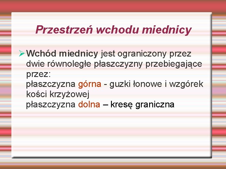 Przestrzeń wchodu miednicy Ø Wchód miednicy jest ograniczony przez dwie równoległe płaszczyzny przebiegające przez: Przestrzeń wchodu miednicy Ø Wchód miednicy jest ograniczony przez dwie równoległe płaszczyzny przebiegające przez: