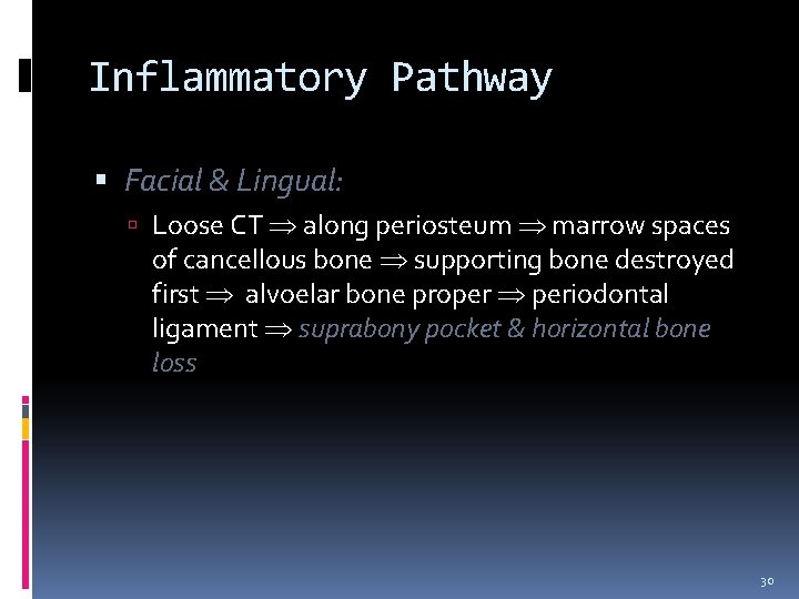 Inflammatory Pathway Facial & Lingual: Loose CT along periosteum marrow spaces of cancellous bone