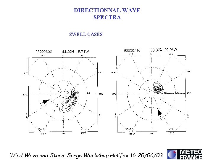 DIRECTIONNAL WAVE SPECTRA SWELL CASES Wind Wave and Storm Surge Workshop Halifax 16 -20/06/03