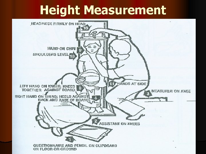 Height Measurement 