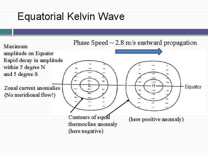 � Equatorial Kelvin Wave Maximum amplitude on Equator Rapid decay in amplitude within 5