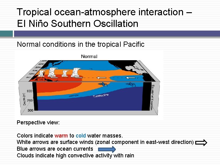 Tropical ocean-atmosphere interaction – El Niño Southern Oscillation Normal conditions in the tropical Pacific