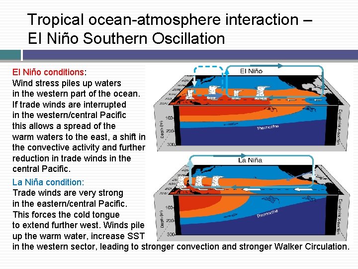 Tropical ocean-atmosphere interaction – El Niño Southern Oscillation El Niño conditions: Wind stress piles