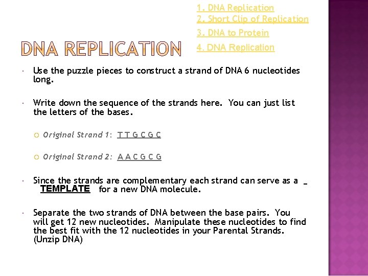 1. DNA Replication 2. Short Clip of Replication 3. DNA to Protein 4. DNA