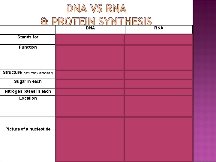 DNA RNA Stands for DEOXYRIBONUCLEIC ACID Function STORES GENETIC INFORMATION & HAS CODE FOR