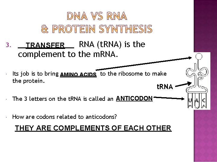 3. RNA (t. RNA) is the complement to the m. RNA. TRANSFER Its job