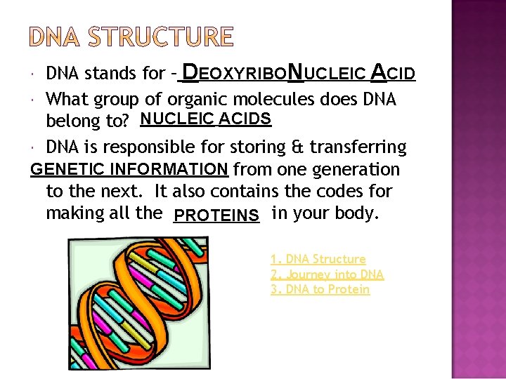 DNA stands for – DEOXYRIBONUCLEIC ACID What group of organic molecules does DNA belong