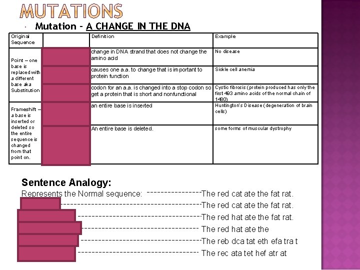  Mutation – A CHANGE IN THE DNA Original Sequence Point – one base