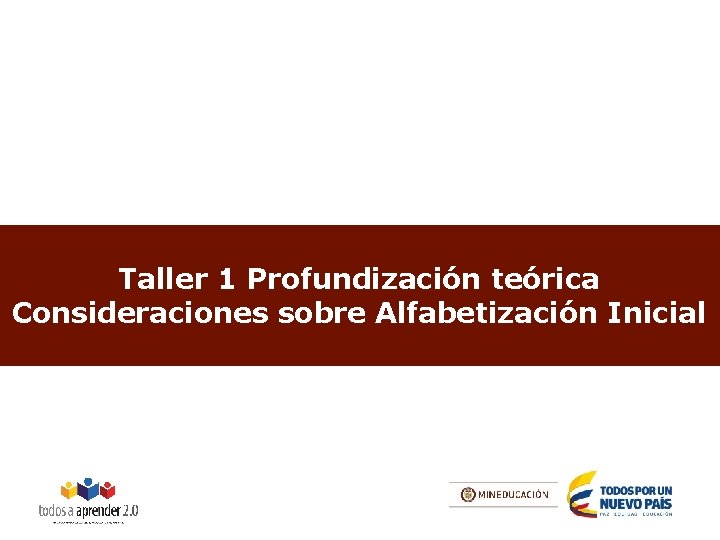 Taller 1 Profundización teórica Consideraciones sobre Alfabetización Inicial 