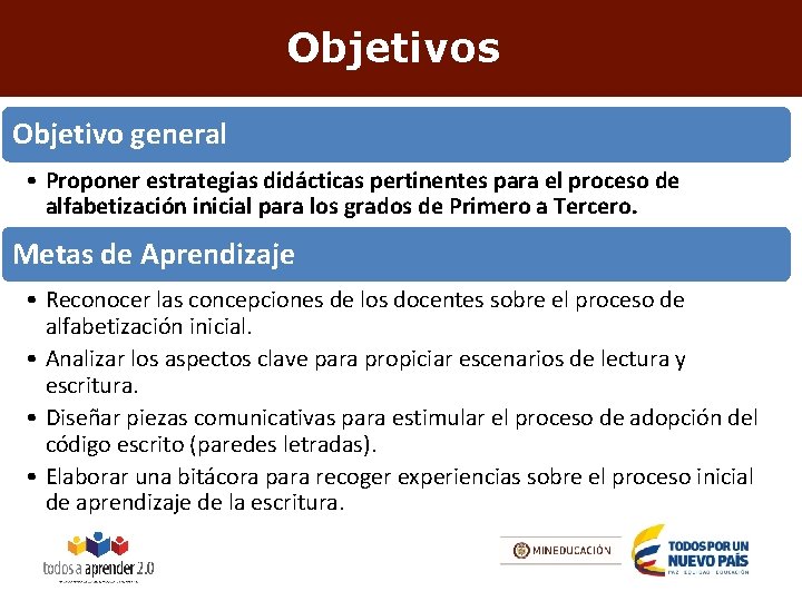 Objetivos Objetivo general • Proponer estrategias didácticas pertinentes para el proceso de alfabetización inicial