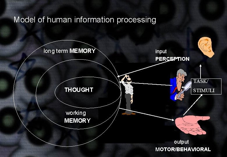 Model of human information processing long term MEMORY input PERCEPTION TASK/ THOUGHT STIMULI working