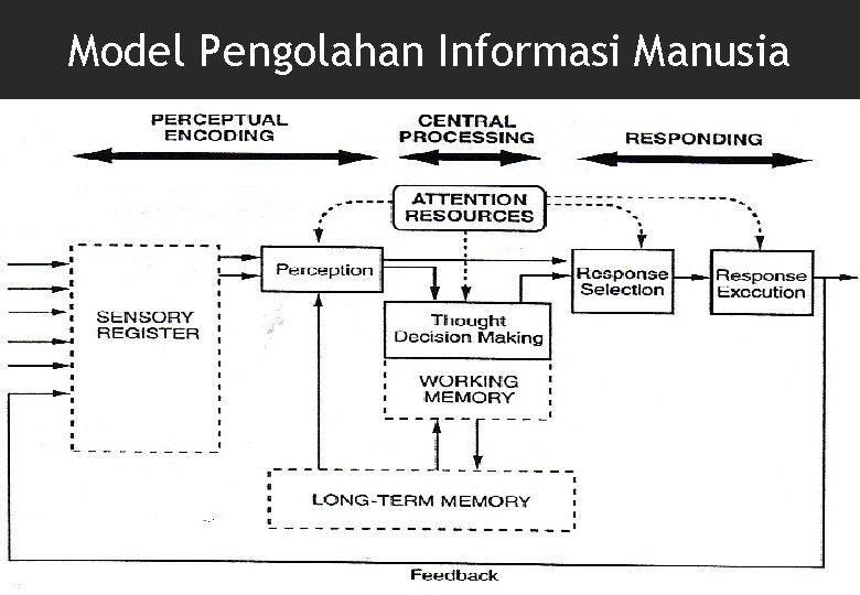 Model Pengolahan Informasi Manusia 