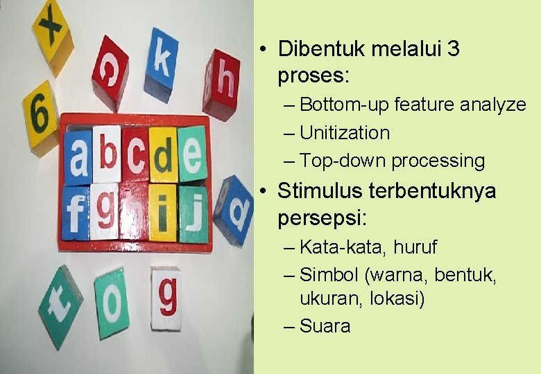  • Dibentuk melalui 3 proses: – Bottom-up feature analyze – Unitization – Top-down