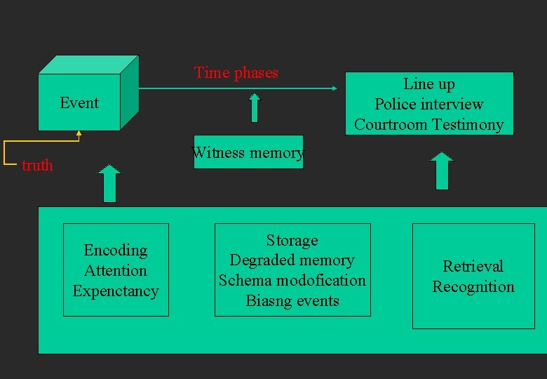 Time phases Event Line up Police interview Courtroom Testimony Witness memory truth Encoding Attention