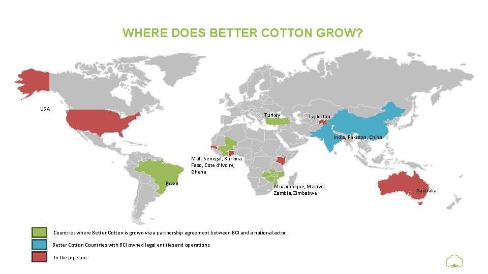 WHERE DOES BETTER COTTON GROW? USA Turkey Tajikistan India, Pakistan, China Mali, Senegal, Burkina