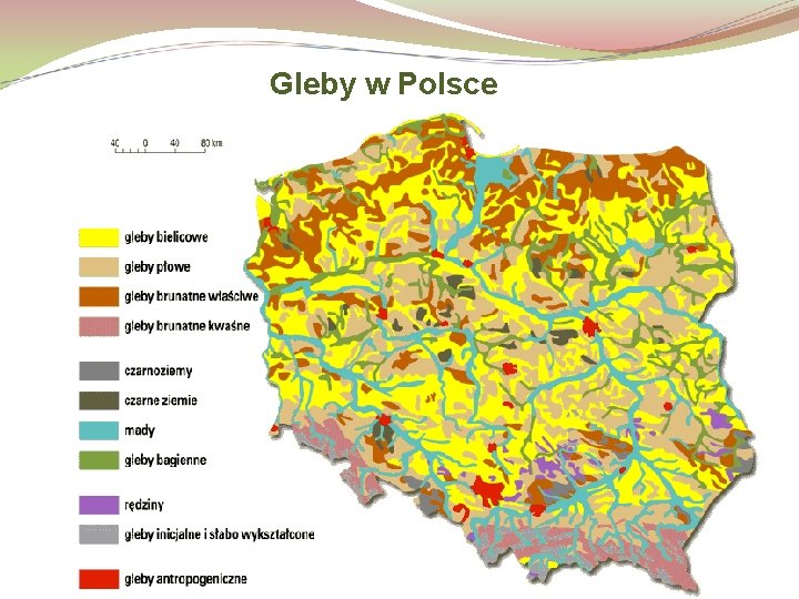 Gleby w Polsce 