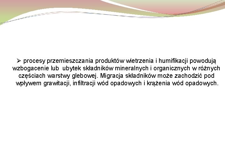 Ø procesy przemieszczania produktów wietrzenia i humifikacji powodują wzbogacenie lub ubytek składników mineralnych i