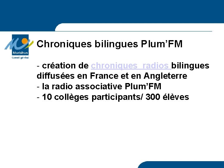 Chroniques bilingues Plum’FM - création de chroniques radios bilingues diffusées en France et en