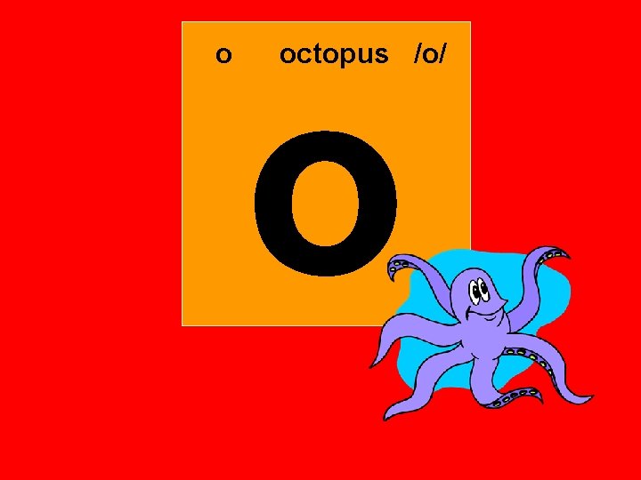 o o octopus /o/ 