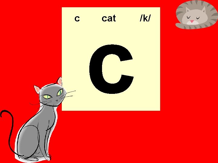c c cat /k/ 
