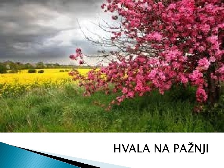 HVALA NA PAŽNJI 