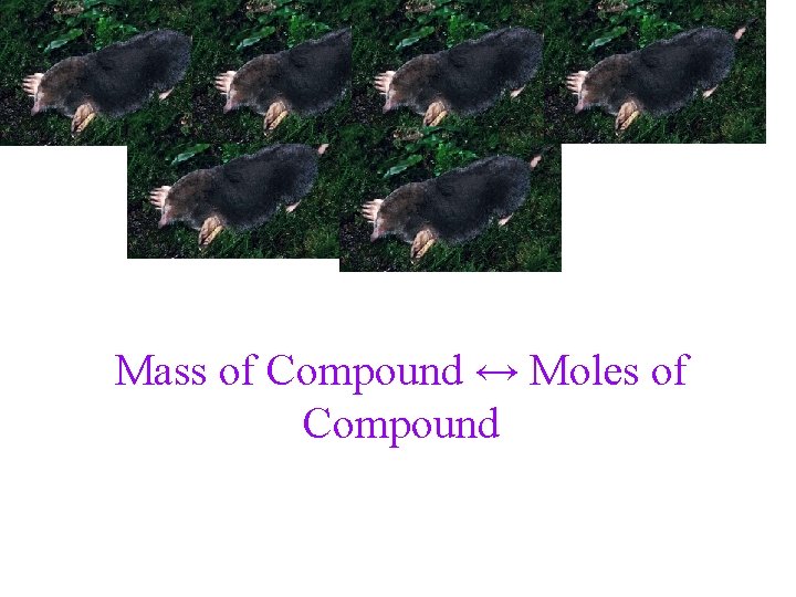 Mass of Compound ↔ Moles of Compound 