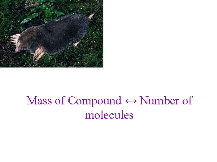 Mass of Compound ↔ Number of molecules 
