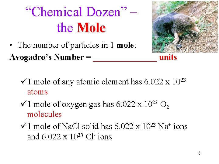 “Chemical Dozen” – the Mole • The number of particles in 1 mole: Avogadro’s